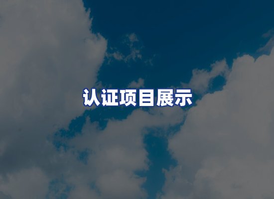 认证项目展示